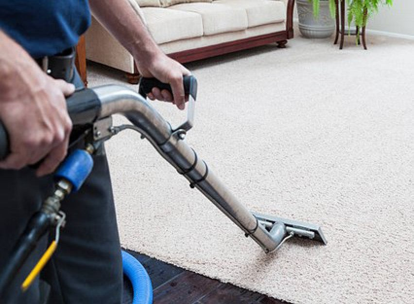 All You Need to Know About Carpet Steam Cleaning