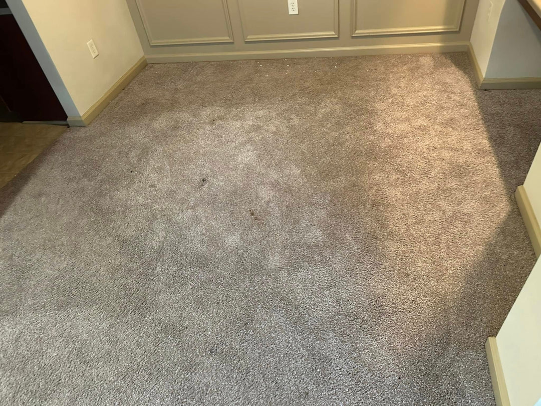 What’s Hiding in Your Carpets? Unseen Threats to Your Family’s Health