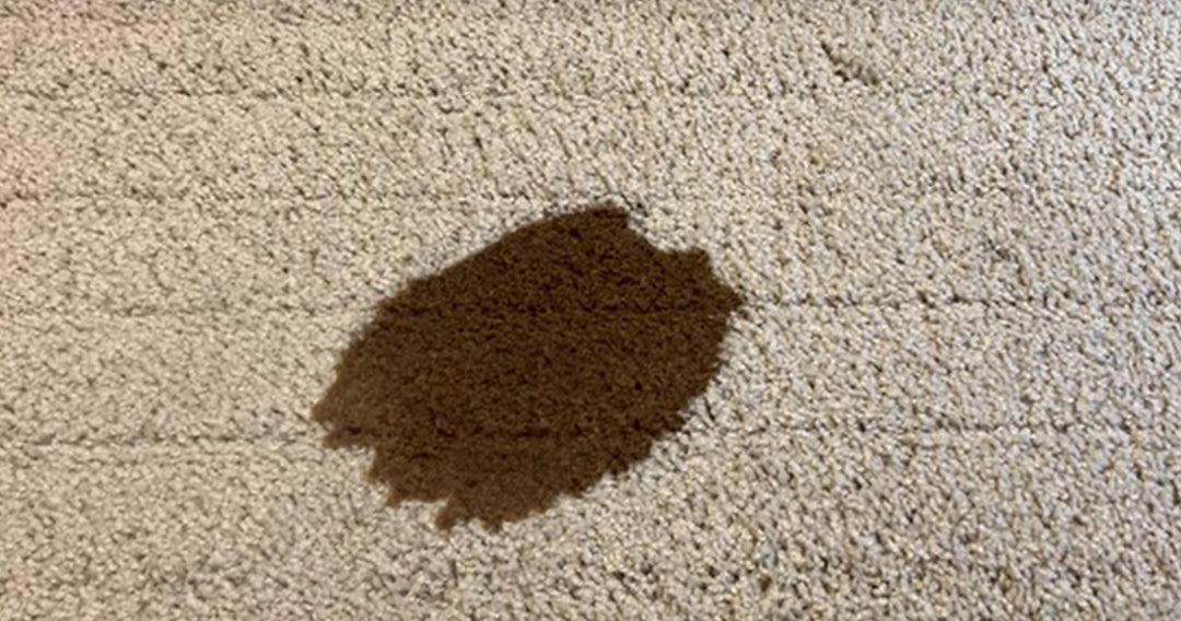 How to Remove Coffee Spills from Carpet