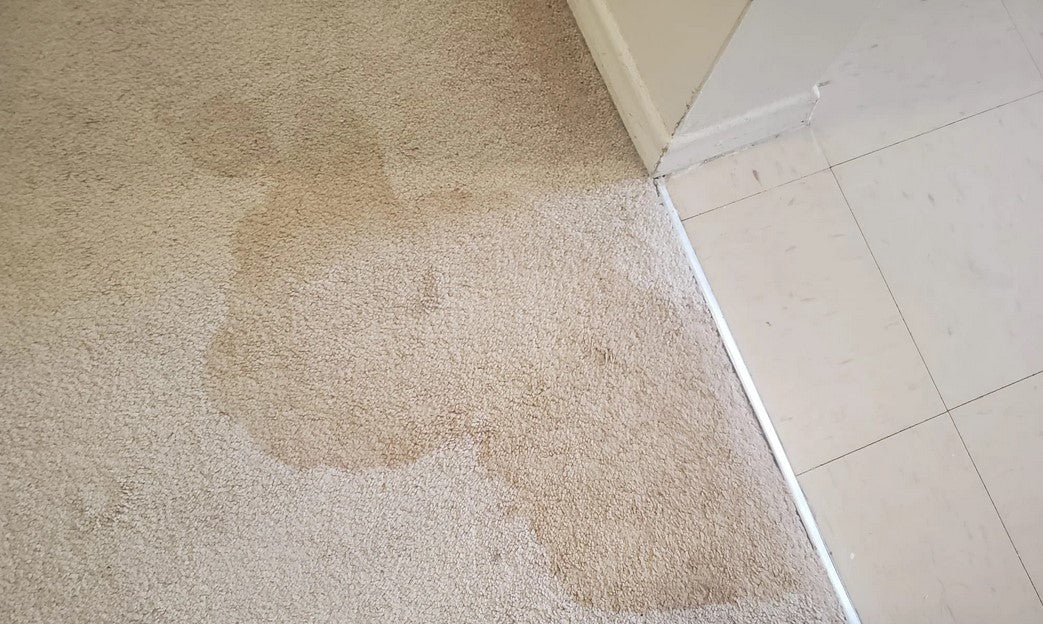 How to Handle Water-Damaged Carpets: A Step-by-Step Guide